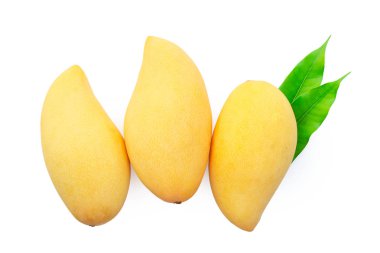 Mango üzerinde beyaz izole yaprak ile
