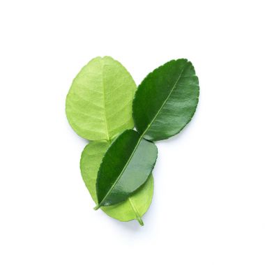 Bergamot yaprak üzerinde beyaz izole 