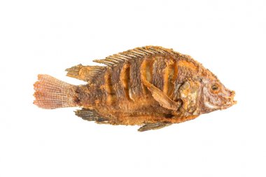 tilapia balık derin kızarmış izole üzerinde beyaz Üstten Görünüm