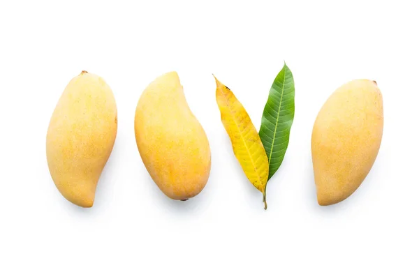 Yellow mangoes with leaf isolated on white in top view — Stock Photo, Image