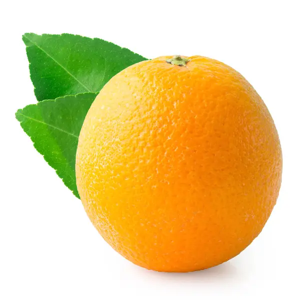 신선한 오렌지 녹색 나뭇잎과 흰색 절연 — 스톡 사진
