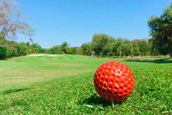 red golf ball on green