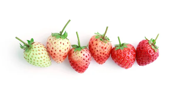 하얀 배경에 있는 신선 한 딸기 — 스톡 사진