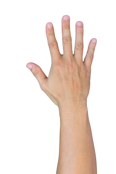 Asiatische Hand Auf Weißem Hintergrund Stockfoto