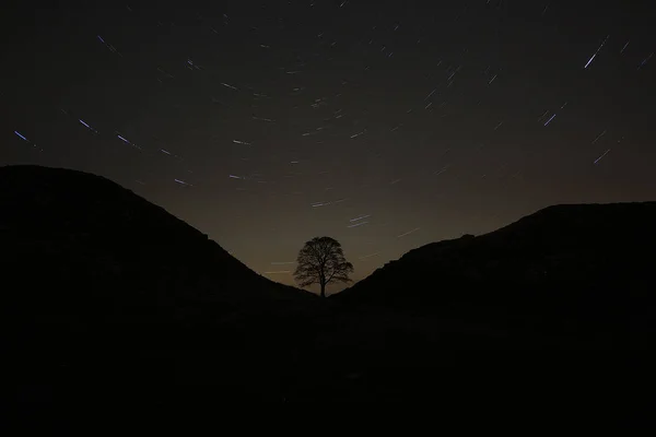 Sycamore Gap tree in Northumberland at night