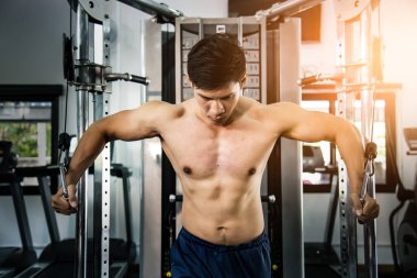 Athletic muscular bodybuilder training on simulator in gym, strong male.