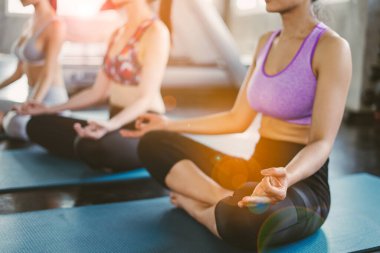 Group of women meditating in yoga class, female friends sitting in lotus pose on mats