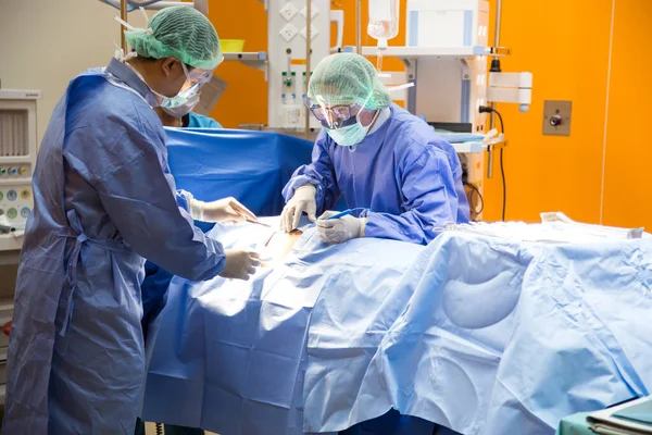 Medical Team doing Surgical Operation in Modern Operating Room