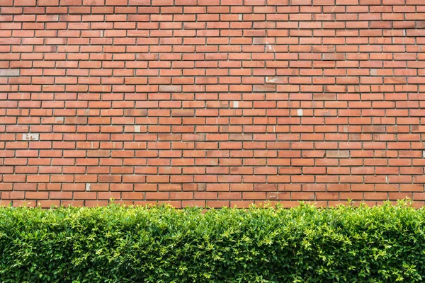 Closeup Brick Pattern Brown Brick Wall Leaf Wall Orange Brick — Stock Photo, Image