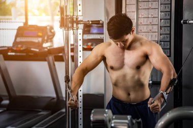 Athletic muscular bodybuilder training on simulator in gym, strong male.