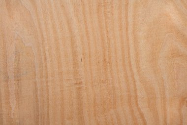 Wood texture with pattern, wooden floor background with copy space.