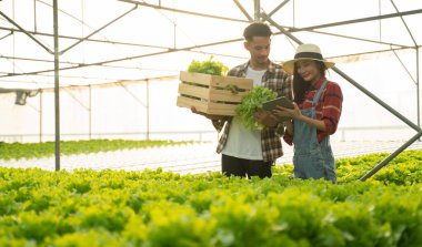 Akıllı çiftlik, sensör teknolojisi, akıllı tarım kavramı. Çiftçi ve ortağı, sabahları serada organik hidroponik sebze bahçesinde çalışmak için tablet kullanıyor. Kopya alanı..
