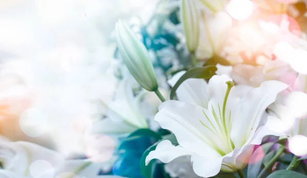 Lilium Longiflorum Bouquet Lilies Лілі Рід Рослин — стокове фото