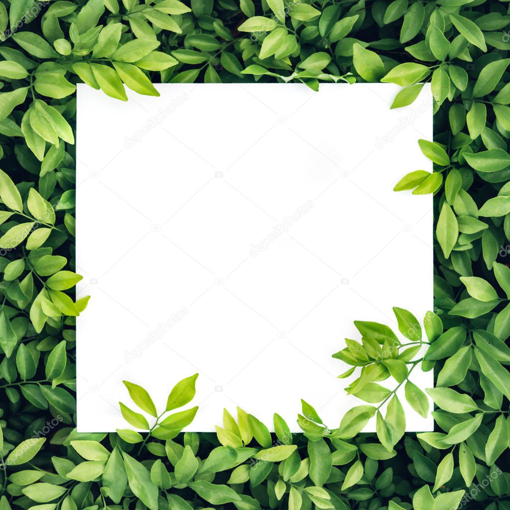 Paper Card Mockup on a Green Leaves.Creative layout made of flowers and leaves with paper card note. Flat lay. Nature concept