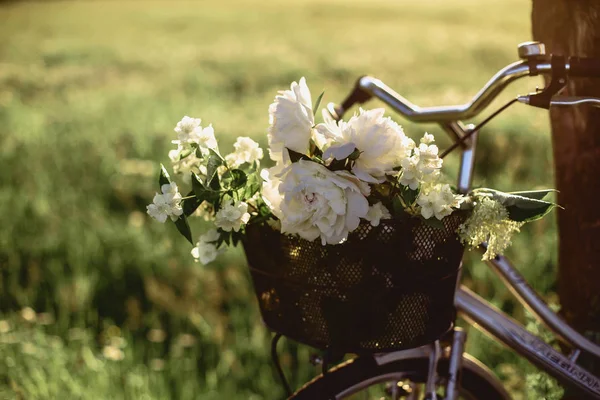 Pole kwiatów na pniu pieszych rower — Zdjęcie stockowe