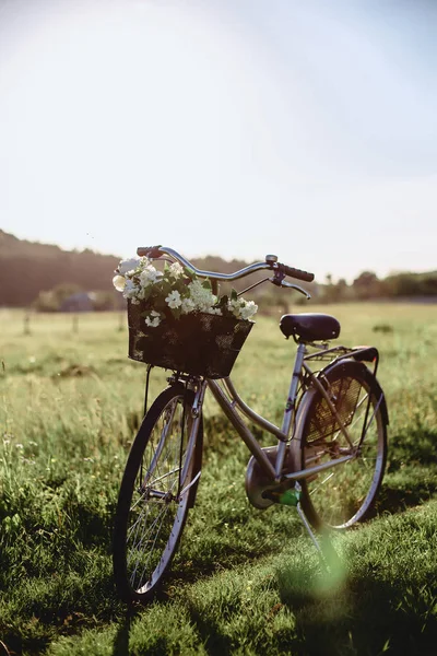Zwiedzanie rower z pola kwiatów na pniu — Zdjęcie stockowe