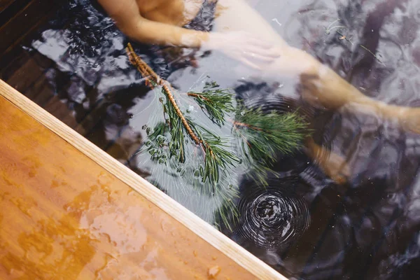 Çamın dalları sıcak kozalaklı spa yakınındaki
