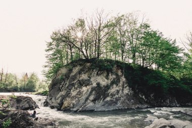 Yeşil orman arka planda bir kayanın altında bir şelale