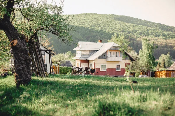 Valea muntelui carpatic din apropierea satului, cu vedere la h — Fotografie, imagine de stoc