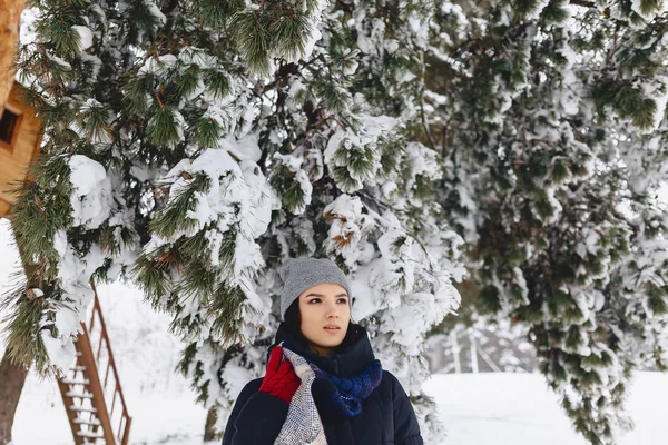 Retrato de uma menina de pé sob um pinheiro coberto de neve — Fotografia de Stock