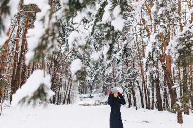 Kırmızı g çam ağaçları arasında bir karla kaplı ormanda kız yürüyor