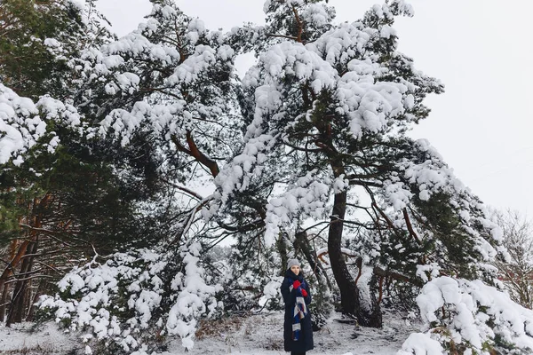 Een jonge, mooie meisje met zich meebrengt onder een grote sneeuw bedekte pine fores — Stockfoto