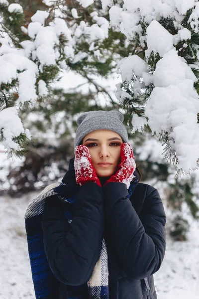 A menina aquece suas bochechas em luvas no inverno frio no p — Fotografia de Stock