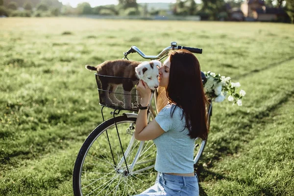 La chica camina con un cachorro en un campo en una bicicleta en la parte posterior — Foto de Stock