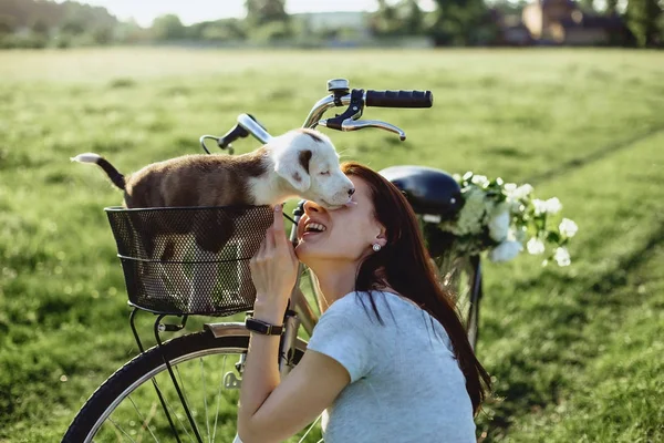 여자 뒤에 자전거에 필드에 강아지와 함께 산책 — 스톡 사진
