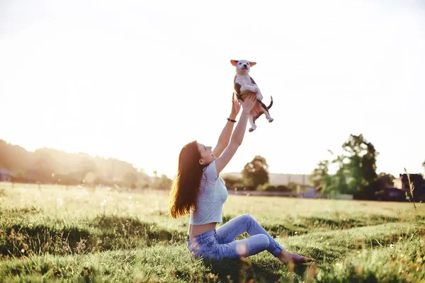 A menina caminha com um filhote de cachorro em um campo em uma bicicleta nas costas — Fotografia de Stock