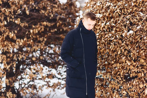 Pojke i en vinterjacka vinter träd — Stockfoto