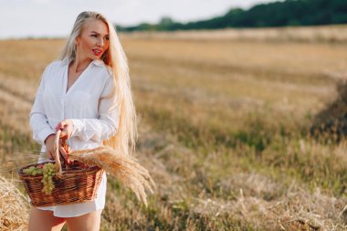 Gün batımında tarlada uzun saçlı güzel bir sarışın kadın bir meyve sepeti ve bir buket saman taşıyor. Yaz, tarım, doğa ve kırsal alanda temiz hava. güneşli.
