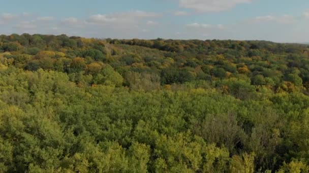 Top view of colorful autumn forest. aerial photography. — Stock video