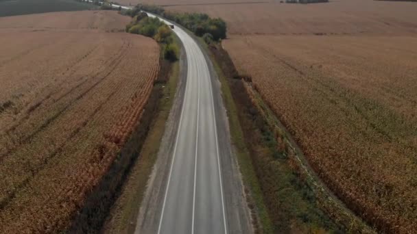 Top view of road with cars among fields. aerial photography. — Stockvideo