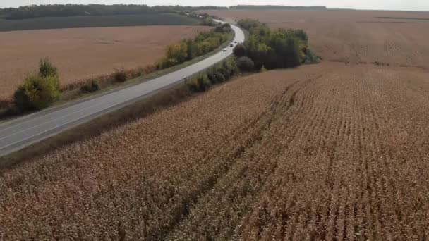 Vista dall'alto della strada con auto tra i campi. fotografia aerea . — Video Stock