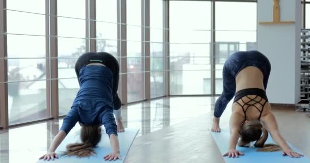 Niñas practican yoga en una habitación grande y luminosa. entrenador y estudiante. concepto de entrenamiento deportivo . — Vídeo de stock