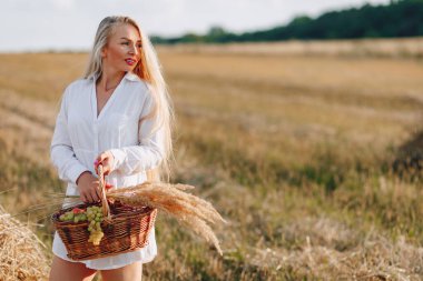 Gün batımında tarlada uzun saçlı güzel bir sarışın kadın bir meyve sepeti ve bir buket saman taşıyor. Yaz, tarım, doğa ve kırsal alanda temiz hava. güneşli.