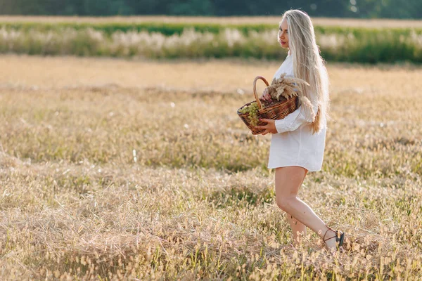 Hezká Blondýnka Dlouhými Vlasy Poli Při Západu Slunce Nese Košík — Stock fotografie