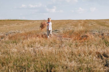 Tarlada saman oynayan küçük sarışın çocuk. Yaz, güneşli hava, çiftçilik. Mutlu çocuk.