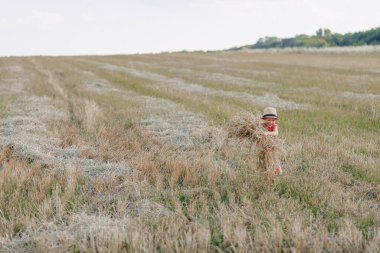 Tarlada saman oynayan küçük sarışın çocuk. Yaz, güneşli hava, çiftçilik. Mutlu çocuk.