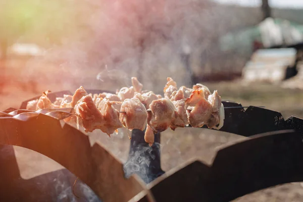 Grill Grillu Naturze Gotowanie Ogniu Smażone Mięso Smaczne Jedzenie — Zdjęcie stockowe
