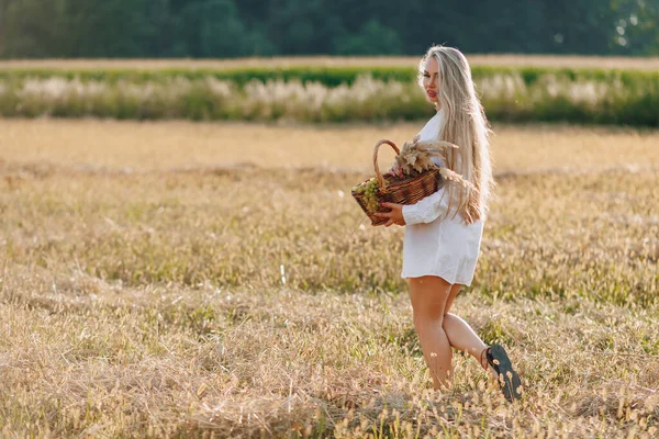 Hezká Blondýnka Dlouhými Vlasy Poli Při Západu Slunce Nese Košík — Stock fotografie