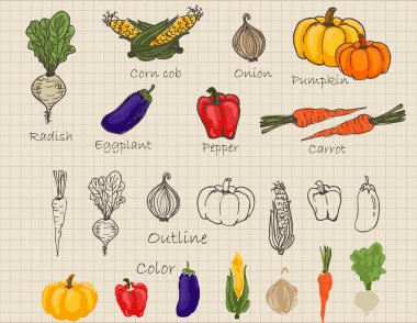 Elle çizilmiş sebze kafes arka plan ile retro tarzında