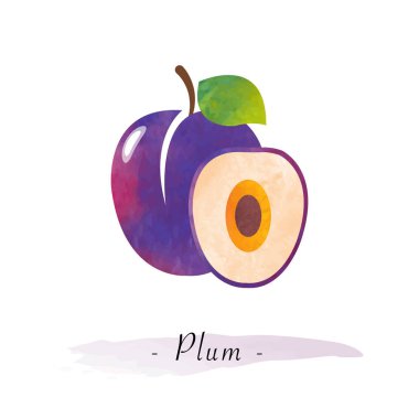 Renkli Sulu Boya doku vektör sağlıklı meyve Erik