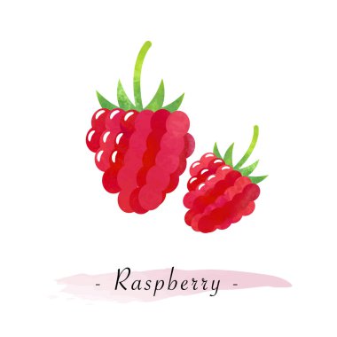 Renkli Sulu Boya doku vektör sağlıklı meyve ahududu