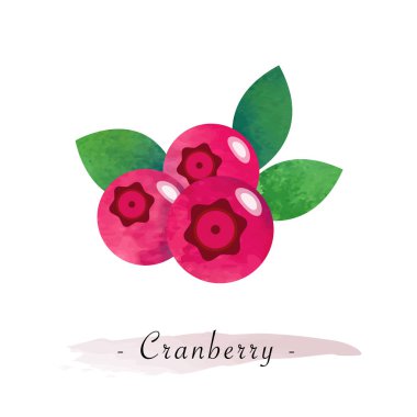 Renkli Sulu Boya doku vektör sağlıklı meyve kızılcık