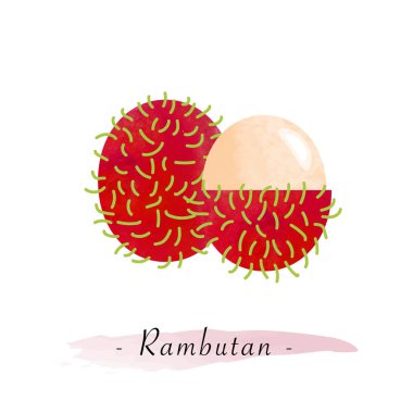 Renkli Sulu Boya doku vektör sağlıklı meyve rambutan
