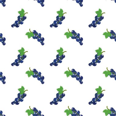 Sorunsuz arka plan görüntü renkli tropikal meyve Frenk üzümü siyah 