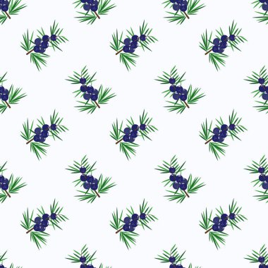 Sorunsuz arka plan görüntü renkli tropikal meyve juniper berry