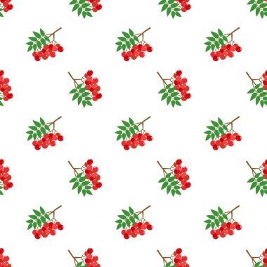 Sorunsuz arka plan görüntü renkli tropikal meyve kırmızı rowan berr